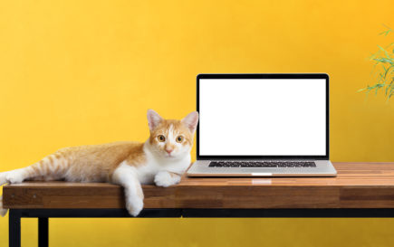 How to Improve Your Website for 2018