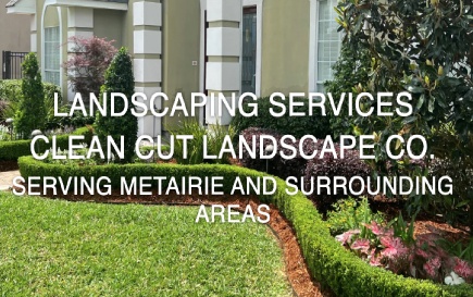 Clean Cut Landscaping